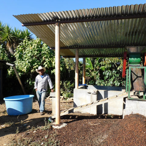 El Salvador Mapache Estate Ahuachapan - 5 lb Bag - Java Estate Roastery