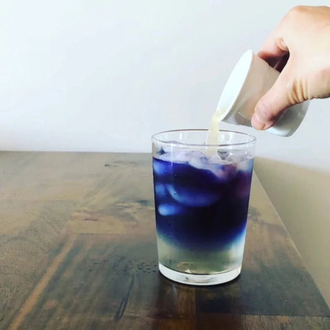 ARTEAO Blue Matcha "Butterfly Pea Flower Powder" 1.1lb bag - Java Estate Roastery