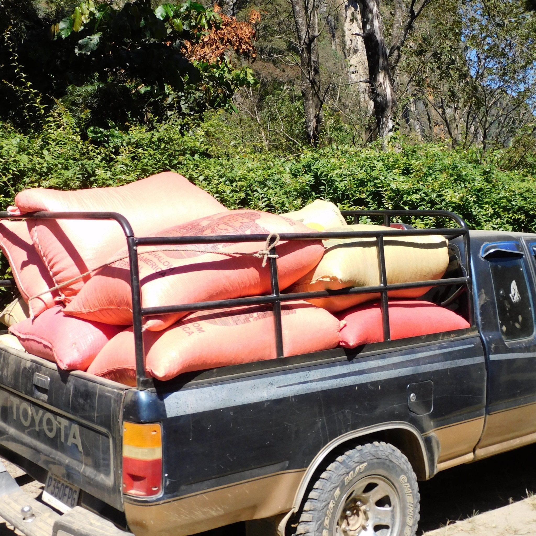 Flavored Coffee Beans 5 lb Wholesale - Java Estate Roastery