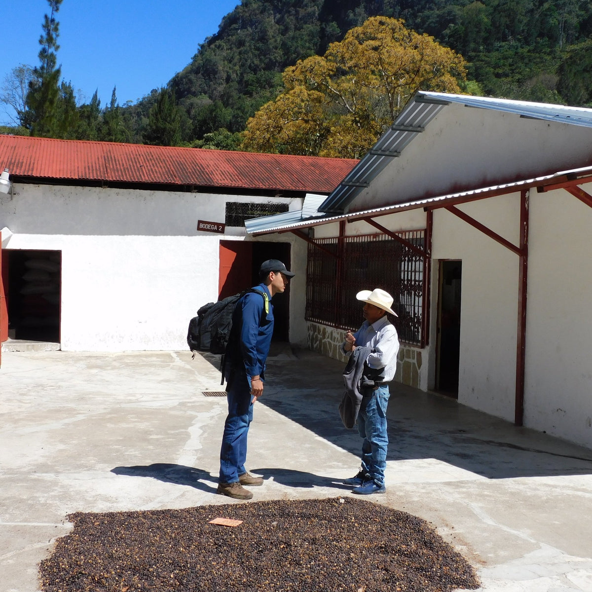 Java Estate Email Java Estate Roastery