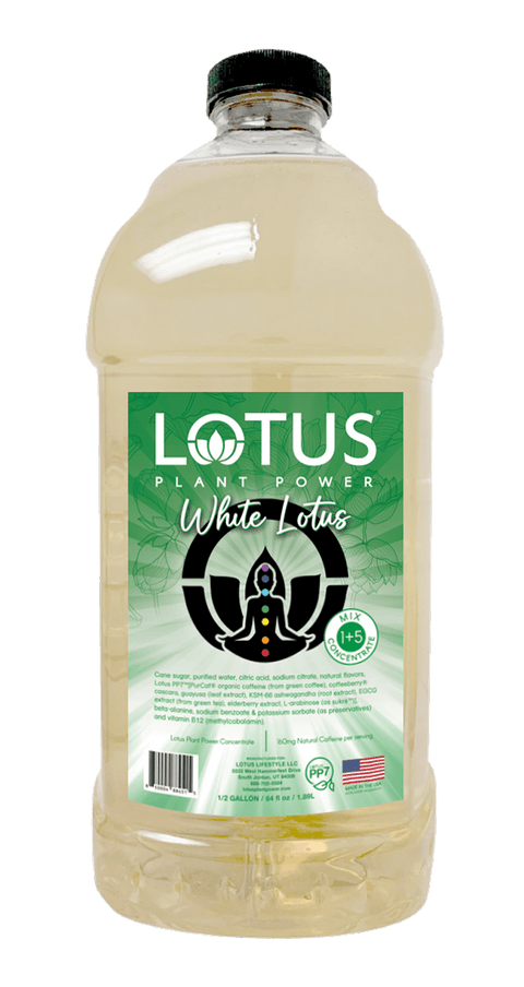 Lotus White Energy Concentrate, 64 oz - Java Estate Roastery