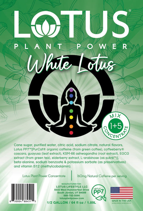 Lotus White Energy Concentrate, 64 oz - Java Estate Roastery