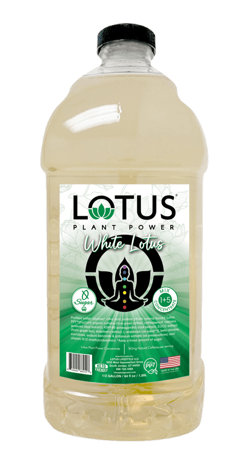 Lotus Zero Sugar White Energy Concentrate, 64 oz - Java Estate Roastery