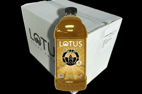 Lotus Energy 64 oz Concentrate, 6 - Pack (Single Flavor) - Java Estate Roastery