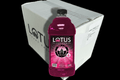 Lotus Energy 64 oz Concentrate, 6 - Pack (Single Flavor) - Java Estate Roastery