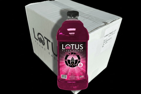Lotus Energy 64 oz Concentrate, 6 - Pack (Single Flavor) - Java Estate Roastery