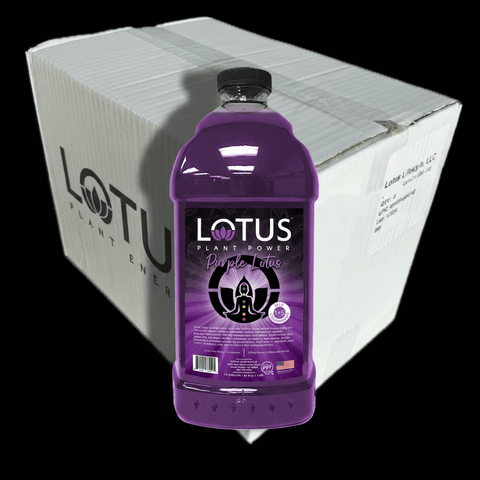 Lotus Energy 64 oz Concentrate, 6 - Pack (Single Flavor) - Java Estate Roastery