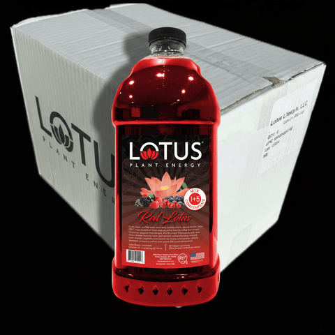 Lotus Energy 64 oz Concentrate, 6 - Pack (Single Flavor) - Java Estate Roastery