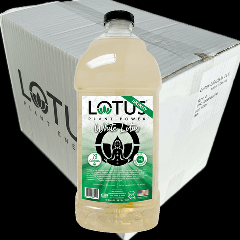 Lotus Energy 64 oz Concentrate, 6 - Pack (Single Flavor) - Java Estate Roastery